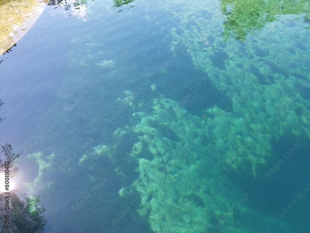 Shallow springs Shallow springs
