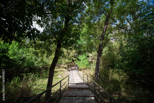 Picturesque staircase with iron railings in the city park. Image for your creative design or illustrations about nature and leisure.