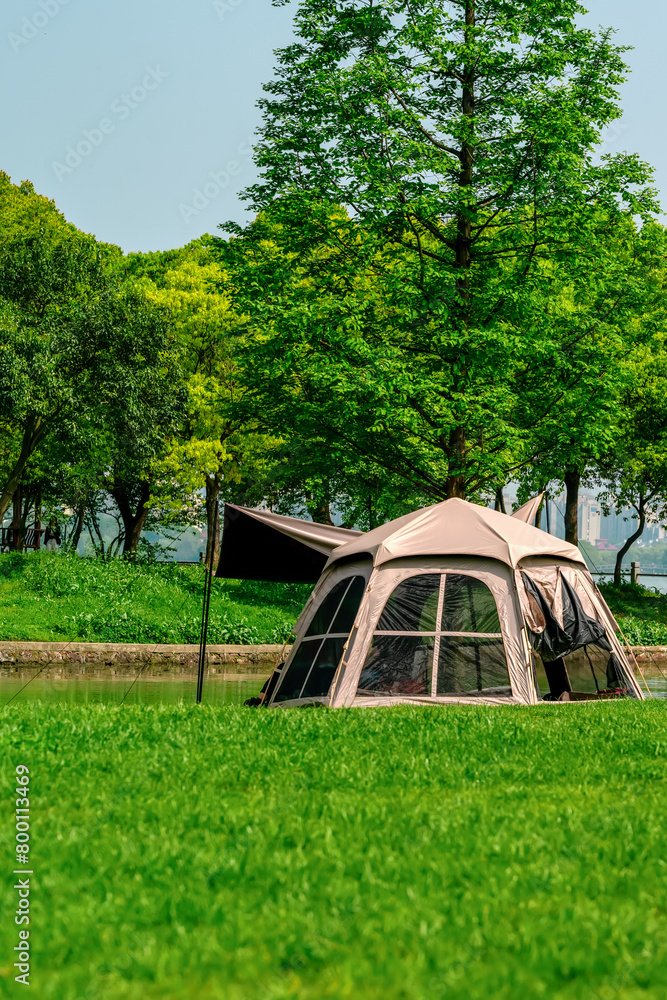 Fototapeta premium Outdoor Camping Experience Amidst Lush Greenery