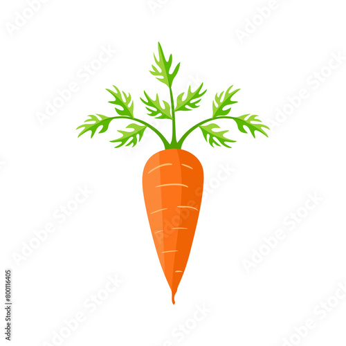 Carrot. Vector cartoon illustration of root vegetable. Simple flat icon.