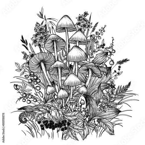 Vector illustration of common bonnet mushroom in the forest. Wild berries, flowers and plants in engraving style