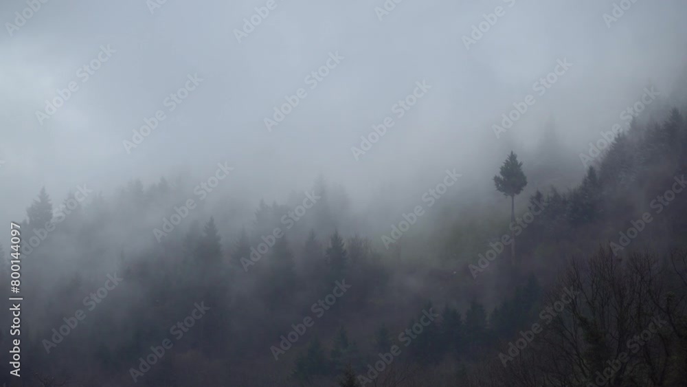 Magnificent view of the tree-covered mountain and the fog above it