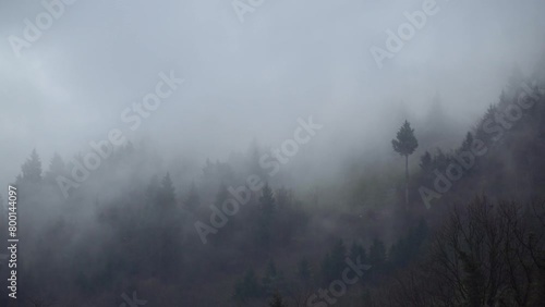 Magnificent view of the tree-covered mountain and the fog above it photo