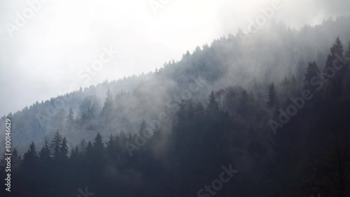 Magnificent view of the tree-covered mountain and the fog above it photo