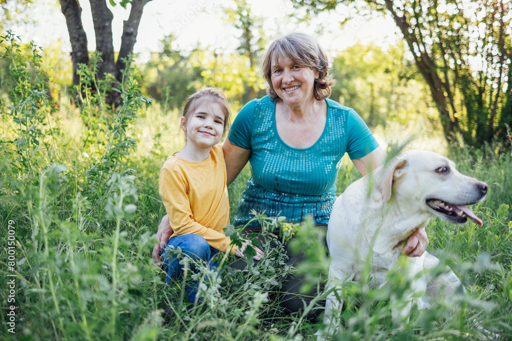 Obraz premium Gray-haired grandmother and cute little granddaughter are walking their dogs together in the park