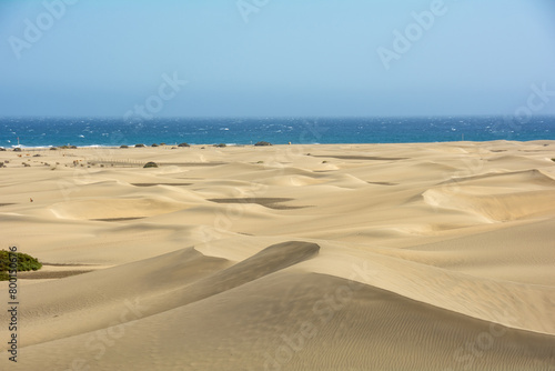 Sand dunes by the sea