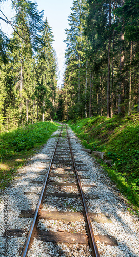 Oravska lesna zeleznica railway track above Oravska Lesna in Slovakia © honza28683