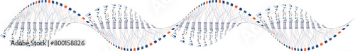 DNA tech line vector isolated