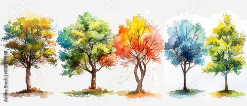 A collection of hand drawn watercolor trees in a forest setting.