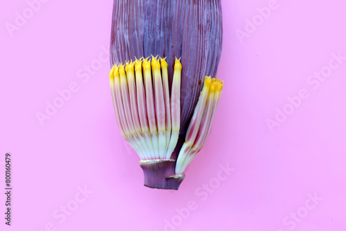 Blossom of banana tree  Banana flower