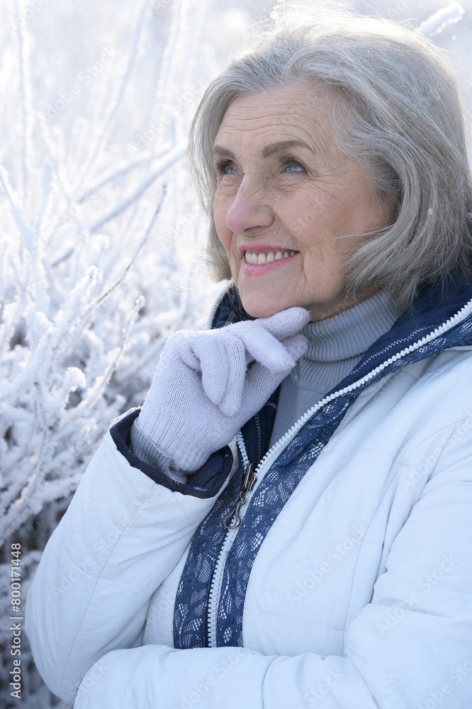 Beautiful elderly woman posing in a snowy winter park Beautiful elderly woman posing in a snowy winter park