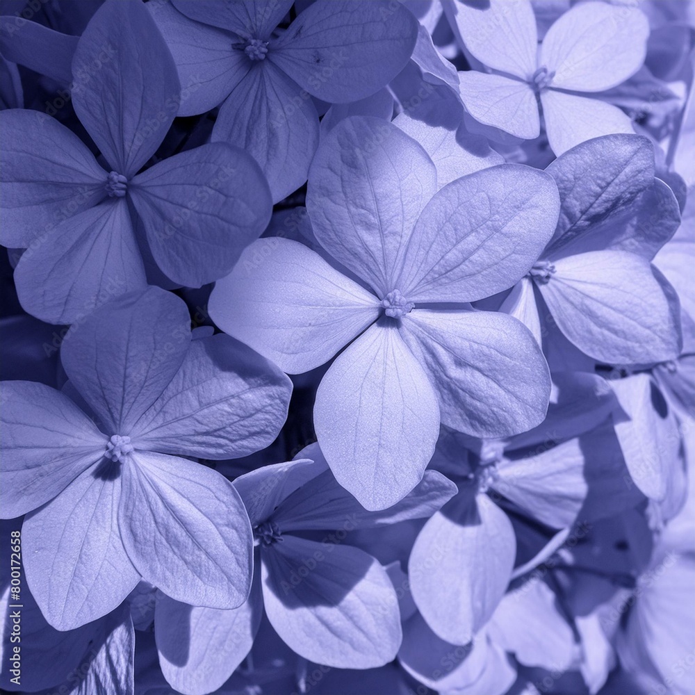 purple flower pattern with sunlight and shadow