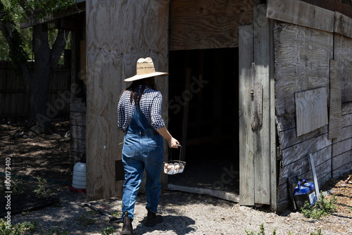 Farmer woman in hat walking to chicken shelter to collect eggs. © Amilciar