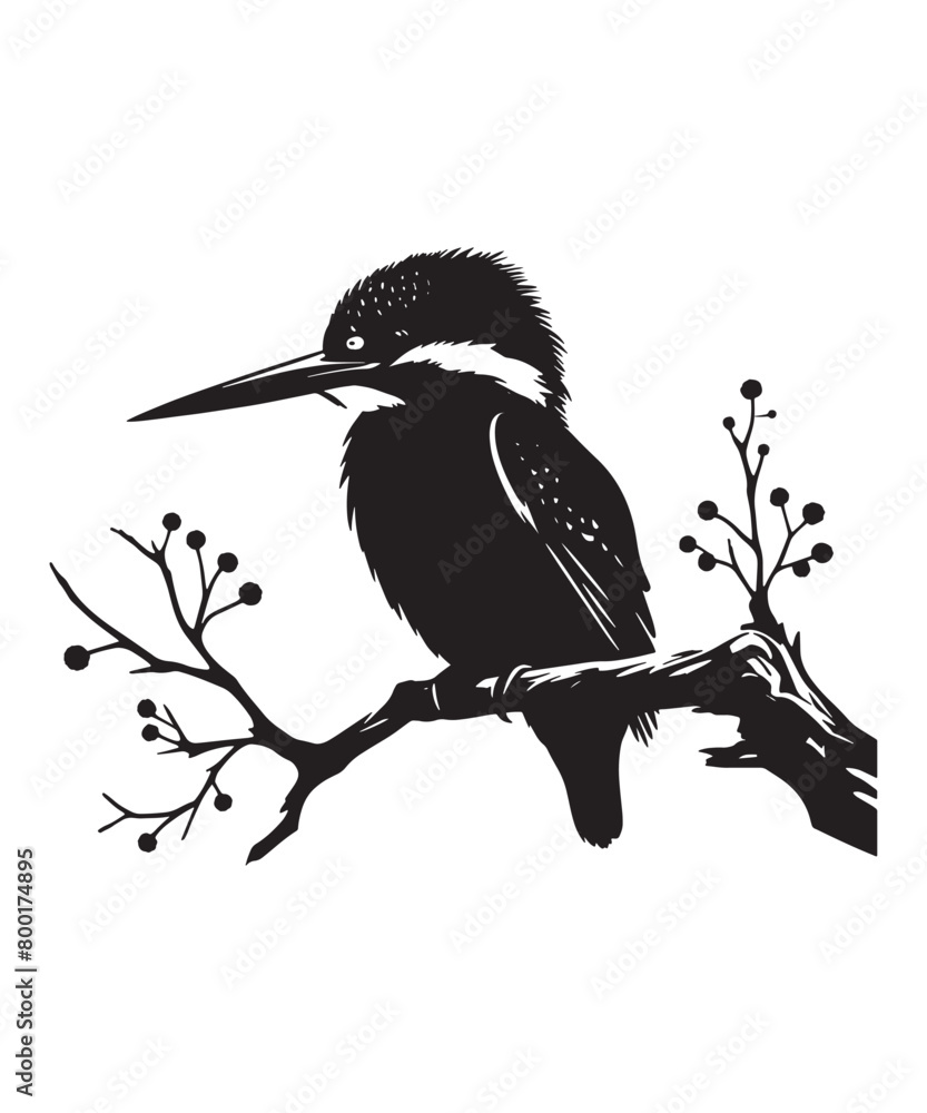 Fototapeta premium kingfisher sitting on a branch silhouette vector illustration