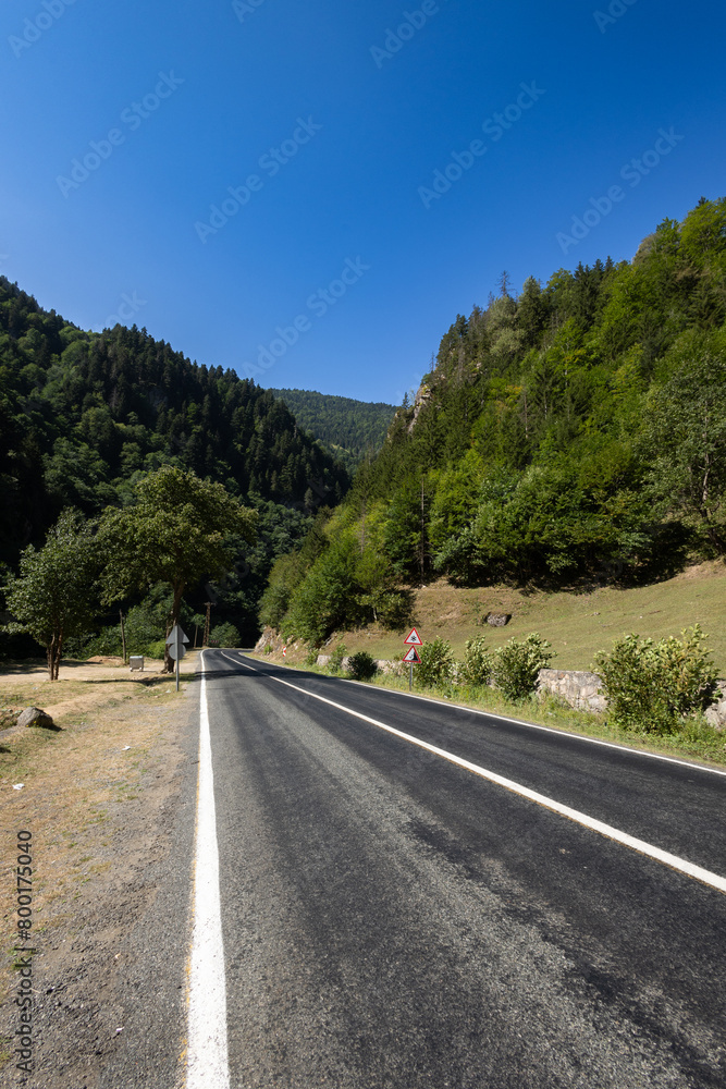 An asphalt road in the mountains and the forest for purpose of web and design use
