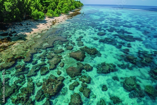 Vivid Aerial Landscape of Coral Reefs Along the Shoreline, Concept of Biodiversity and Coastal Ecosystem Preservation photo