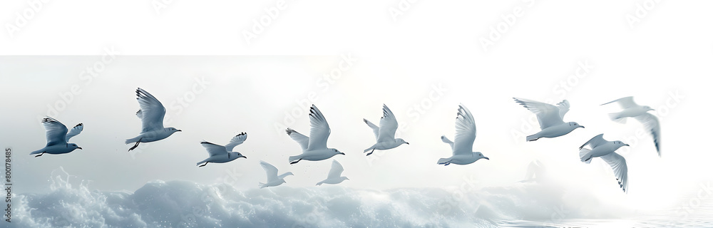 Obraz premium A group of flying white birds isolated on a white background.