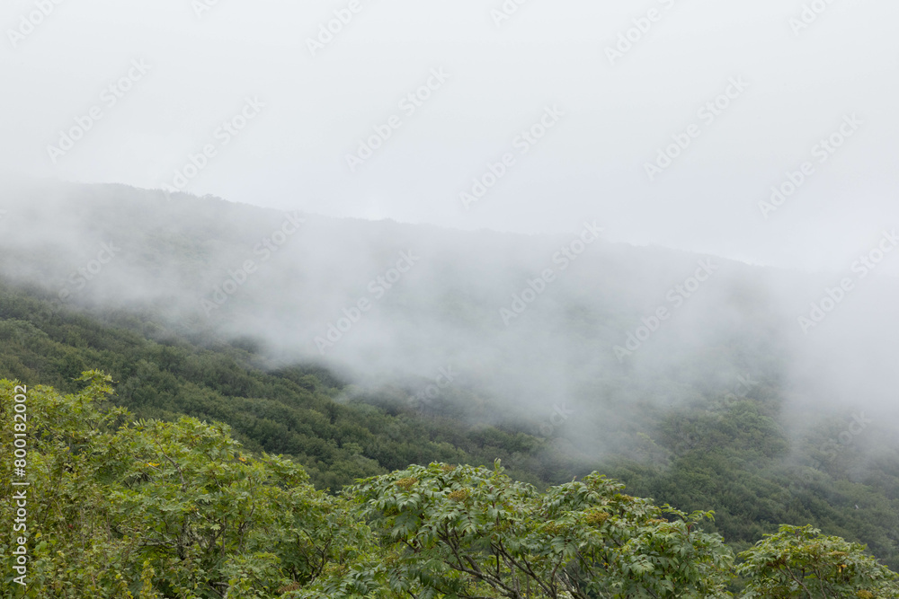 Mountains in a heavy fog