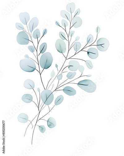 Baby blue eucalyptus  Hand drawn wedding card