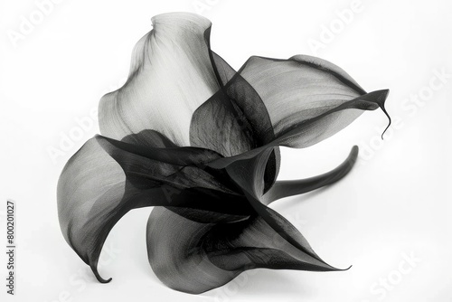 calla lily made of black tulle fabric, on white background, photo