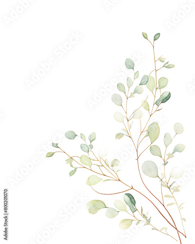 Eucalyptus  Hand drawn wedding card