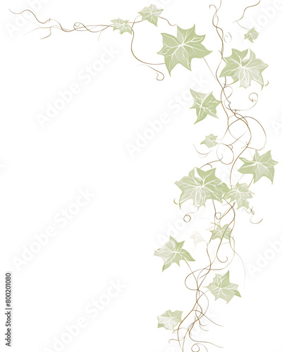 English ivy  Hand drawn wedding card