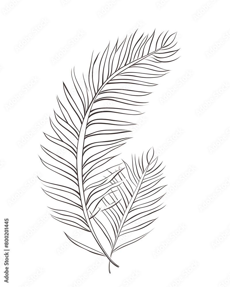 Sago palm, Hand drawn wedding card Sago palm, Hand drawn wedding card