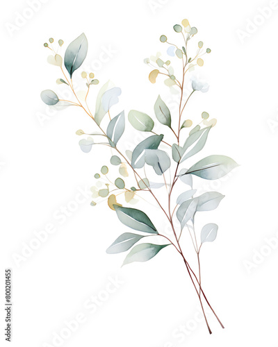 Seeded eucalyptus, Hand drawn wedding card