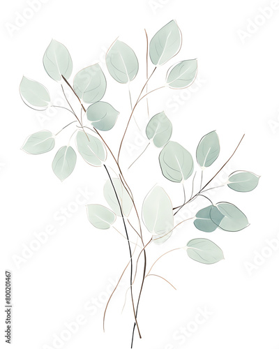 Seeded eucalyptus, Hand drawn wedding card