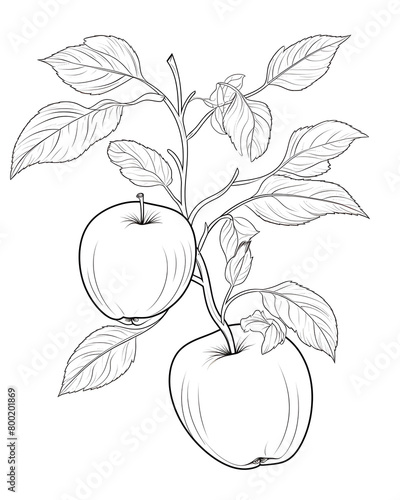 Apple, Hand drawn wedding card