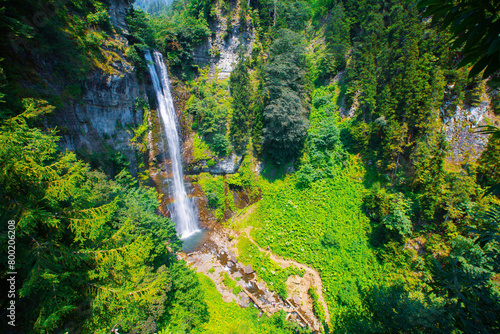 Maral Waterfall. The waterfall on the Maral Stream falls from a height of 63 m. Borcka district  Artvin  Turkey