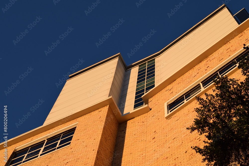 Obraz premium building with sky
