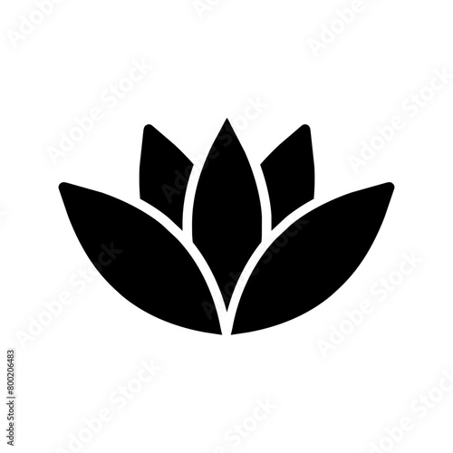 agave plant vector icon