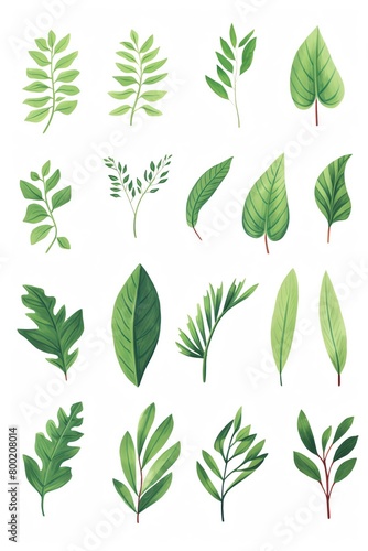 A collection of vibrant green leaves, each with distinct shapes and textures, neatly arranged and photographed against a white background, highlighting their natural details and colors. cartoon drawin photo