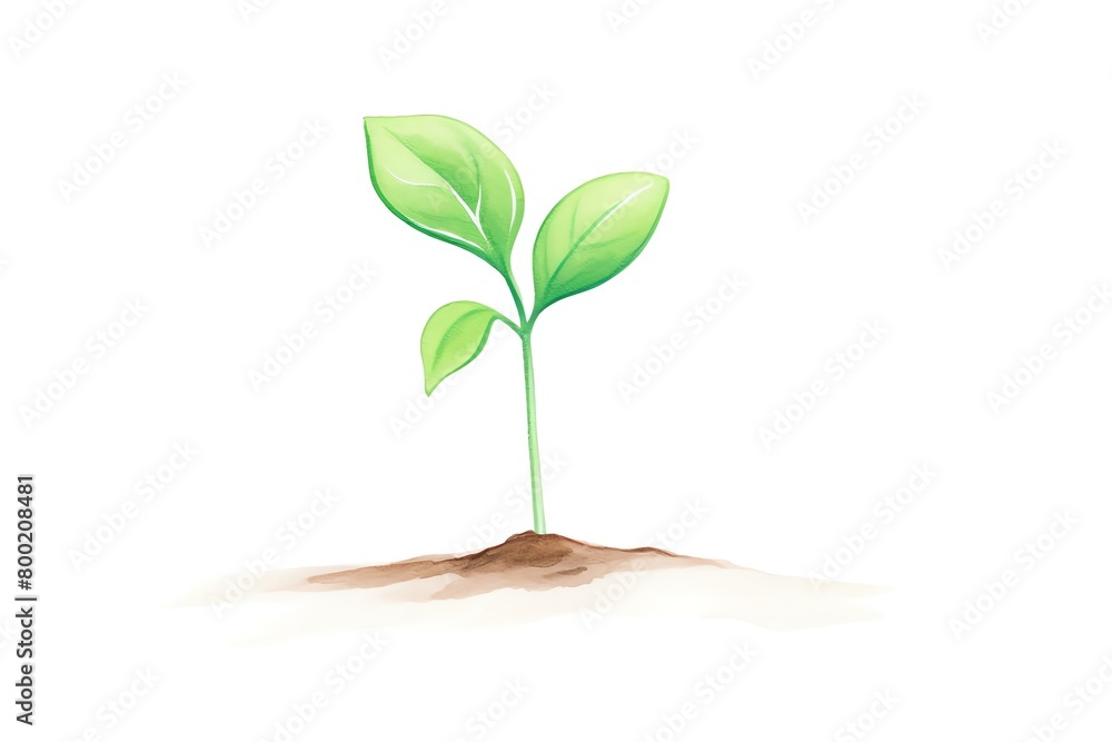 Obraz premium A young, vibrant green seedling standing upright, its delicate leaves unfolding, set against a pure white background to symbolize new beginnings and the potential of life. cartoon drawing, water color