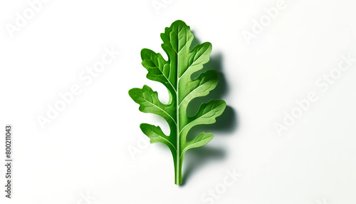 fresh green leaves of parsley