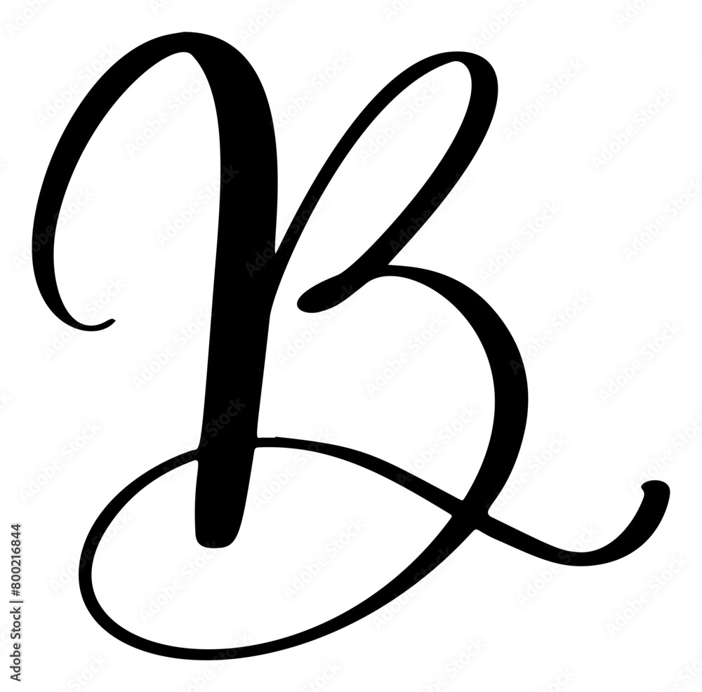 Vector calligraphy hand drawn letter B logo. Script font icon. Handwritten brush style Vector calligraphy hand drawn letter B logo. Script font icon. Handwritten brush style