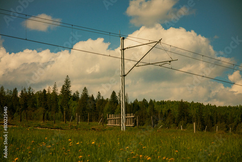 forest coutryside power grid photo
