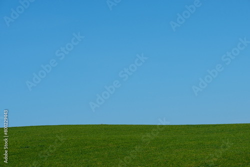 Green meadwo with blue sky scenery