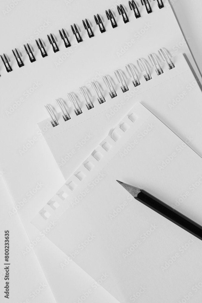 Fototapeta premium Making Notes, Business Meeting. Blank Paper Sheet, Spiral Notebook, Pencil on White Background.