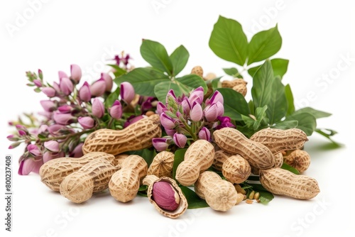Heap of peanuts in shells and kernels with leaves flowers on white background in focus photo