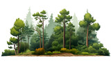 A solitary forest scene against a stark white background
