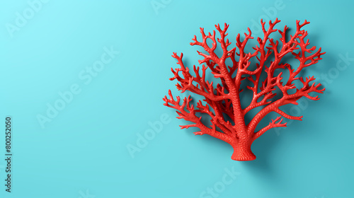 Red coral with space for text