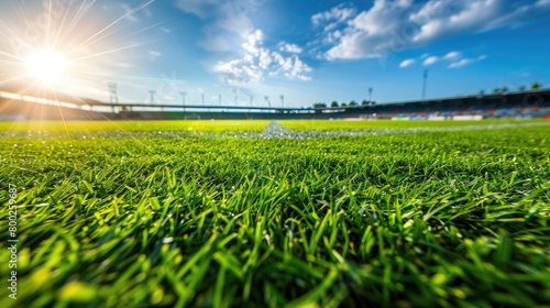At a soccer stadium, the vibrant green grass field