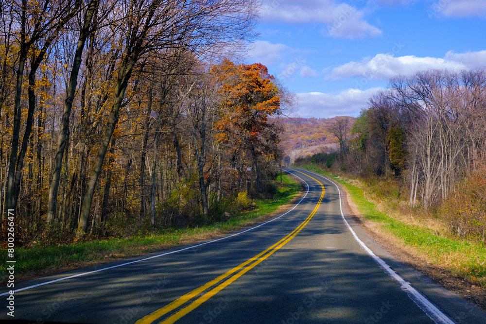 Fototapeta premium Road in the autumn forest, USA