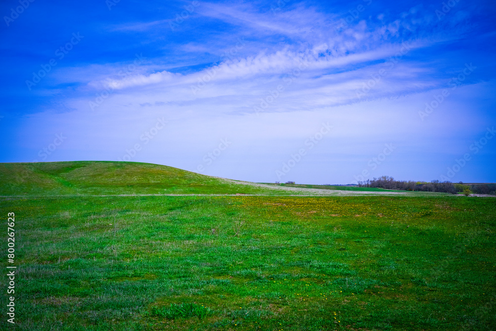 Fototapeta premium Hartford City South Dakota Rural Landscape with prairie, grasses, flowers, clouds, sky, horizon, and wide open space