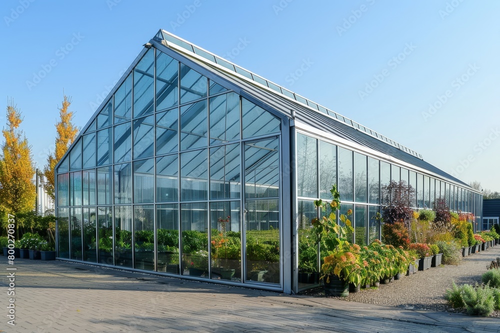 Modern industrial greenhouse with rainwater harvesting in Westland Netherlands Modern industrial greenhouse with rainwater harvesting in Westland Netherlands