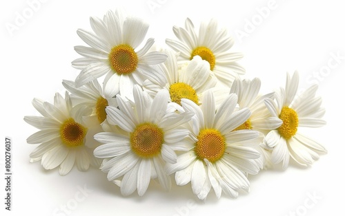 AI generated illustration of a white daisy bouquet with yellow centers on a white background