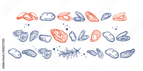 Isolated vector set of seafood. Mussels. Hand drawn seafood delicacy, restaurant and marine cafe menu. Design template.