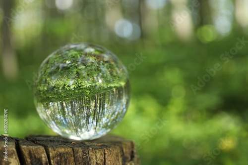 Beautiful green trees outdoors  overturned reflection. Crystal ball on stump in forest. Space for text